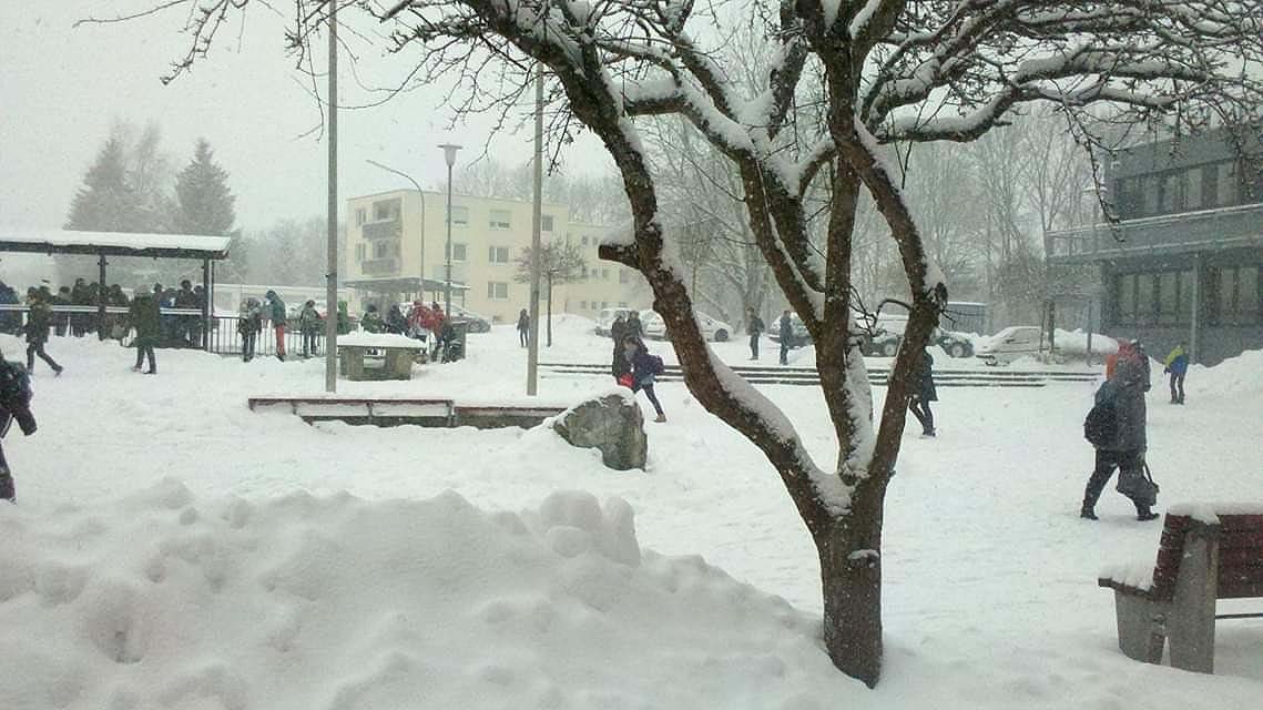 jpg